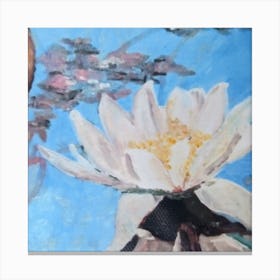 Water Lily Canvas Print