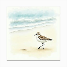 Sandpiper On The Beach Canvas Print