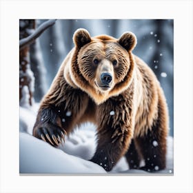 Brown Bear In The Snow Canvas Print