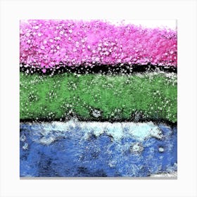 Harmonious Natural Colors Canvas Print