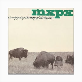 Mxpx Artwork Album 5 Canvas Print