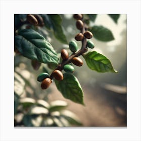 Coffee Beans On A Tree 67 Canvas Print