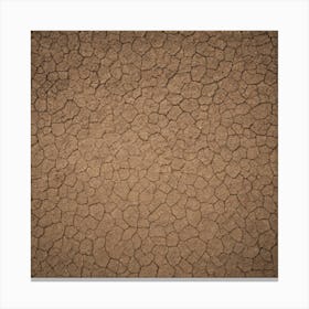 Aerial View Of A Dry Desert Canvas Print