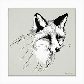 Drawn Fox Head Illustration Canvas Print