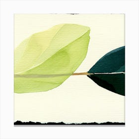 Two Leaves Canvas Print