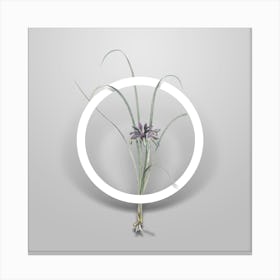Vintage Grass Leaved Iris Minimalist Floral Geometric Circle on Soft Gray n.0221 Canvas Print