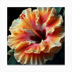 Hibiscus Flower Canvas Print