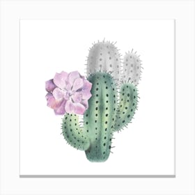 Cactus V Canvas Print