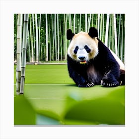 Panda Bear In Bamboo Forest 4 Canvas Print