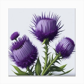 Thistle myluckycharm Canvas Print