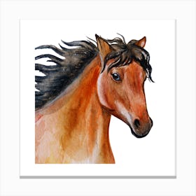 Horse Watercolor Painting.uk 2 Canvas Print