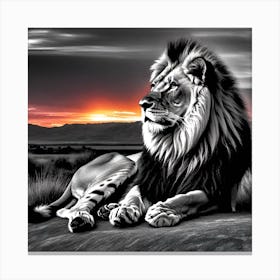 Lion At Sunset 10 Canvas Print