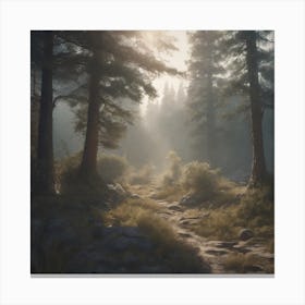 Dark Forest Canvas Print