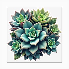 Succulents 1 Canvas Print