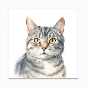 American Wirehair Shorthair Cat Portrait 2 2 Canvas Print