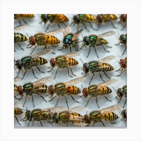 Group Of Flies 1 Canvas Print