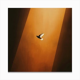 Dove In Flight 1 Canvas Print