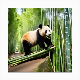 Panda In Bamboo Forest 1 Canvas Print