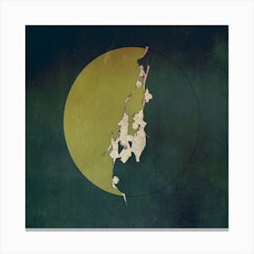 Moon In The Sky 1 Canvas Print