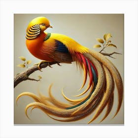 Pheasant Canvas Print