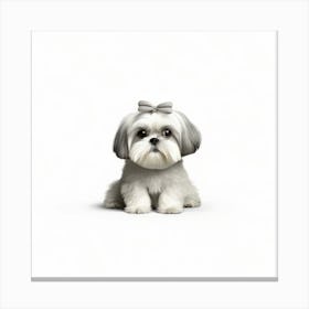 Shih Tzu 1 Canvas Print