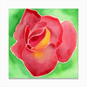 Rose On Green - square red green floral flower Canvas Print