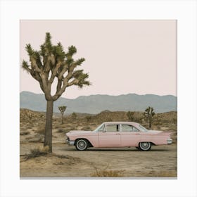 Joshua Tree 2 Canvas Print