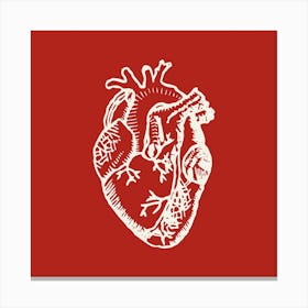 Human Heart Square Canvas Print