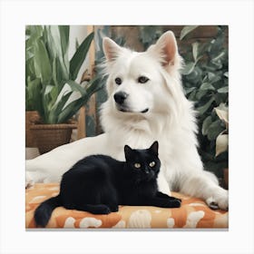 Black Cat And White Dog 3 Canvas Print