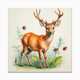 Deer And Ladybugs Canvas Print