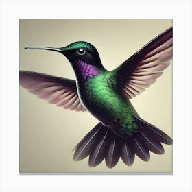 Hummingbird 10 Canvas Print