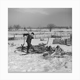 Oscar Gaither, Tenant Farmer, Chopping Wood Near Mcleansboro, Illinois By Russell Lee Canvas Print