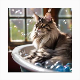 Maine Coon Cat Lounging Canvas Print