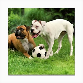 Two Dogs Playing Soccer Canvas Print