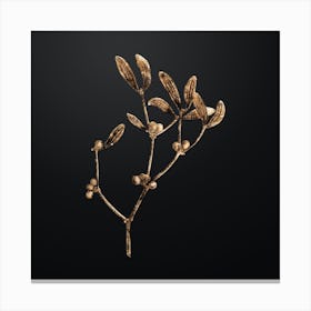 Gold Botanical Viscum Album Branch on Wrought Iron Black n.3309 Canvas Print