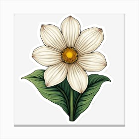 Daisy Flower Canvas Print