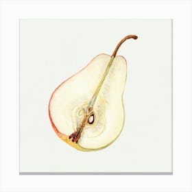 Half Pear Canvas Print