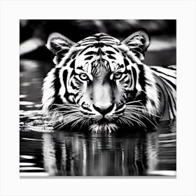 Tiger In Water 2 Canvas Print