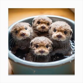 Baby Sea Otters Bath Canvas Print