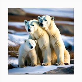 Polar Bears 1 Canvas Print