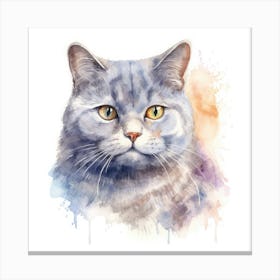 Russian Shorthair Cat Portrait 2 Canvas Print