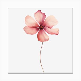 Pink Flower 1 Canvas Print