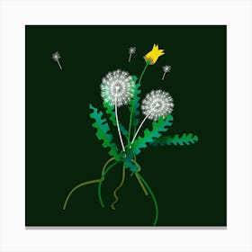 Dandelion Plant Herb Leaves Green Weeds Garden Summer Seeds Roots Botanical Sheet Drawing Canvas Print