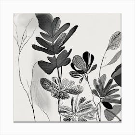 Black And White Drawing Of Flowers Canvas Print