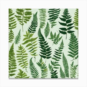 Fern Leaves 9 Canvas Print