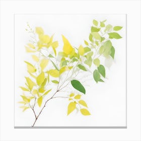 Yellow Leaves On A Branch Canvas Print