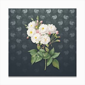 Vintage Noisette Roses Botanical on Slate Gray Pattern Canvas Print