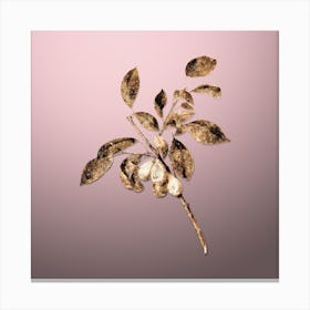 Gold Botanical Plum on Rose Quartz n.3765 Canvas Print