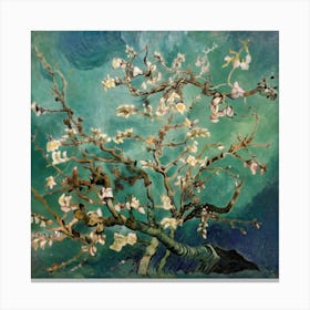 Blossoming Almond Tree 1 Canvas Print