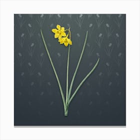 Vintage Narcissus Odorus Botanical on Slate Gray Pattern Canvas Print